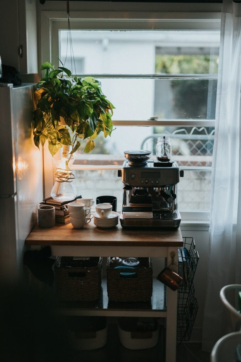 Back Kitchen and Two-Kitchen Homes: How to Plan the Front and Back Kitchens